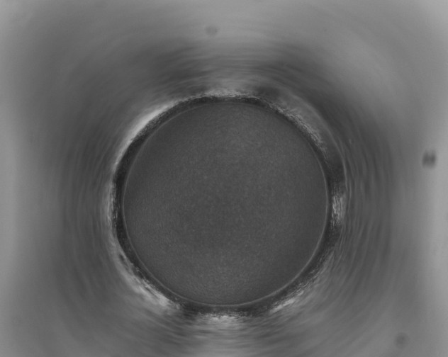 X0000094340724200711091428
