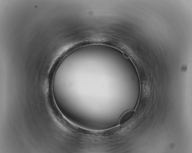 X0000094340726200711091428