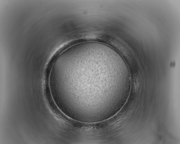 X0000094340728200711091428
