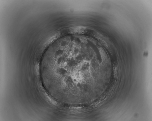 X0000094340729200711091428