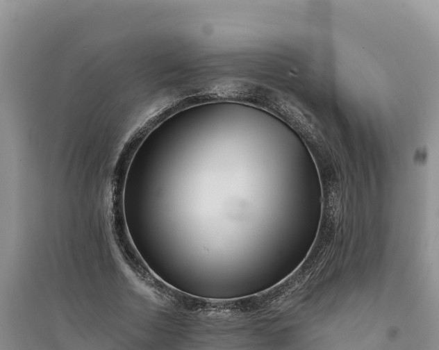 X0000094340730200711091428