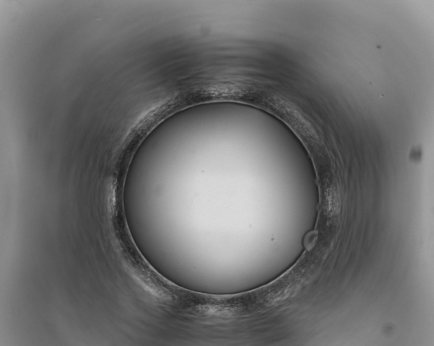 X0000094340733200711091428