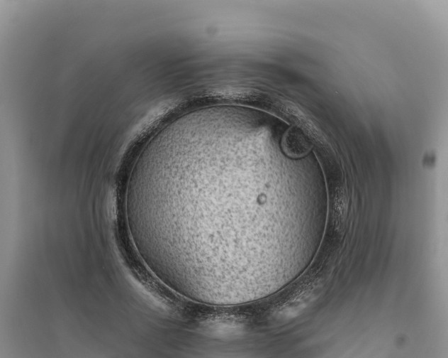X0000094340734200711091428