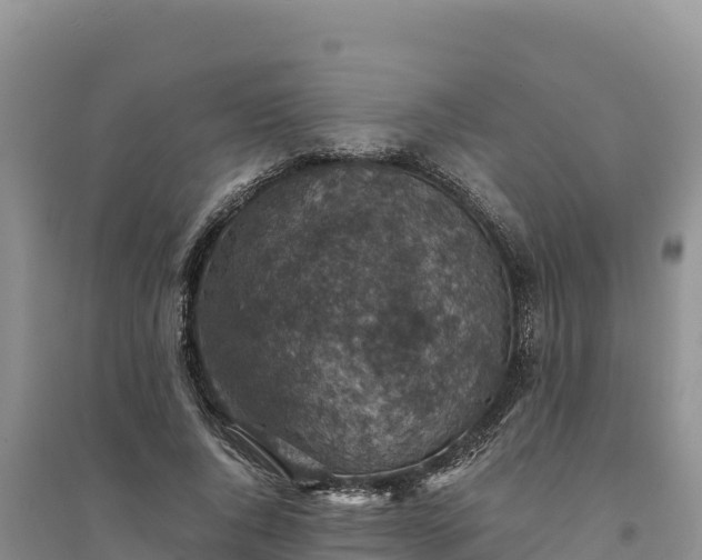 X0000094340736200711091428