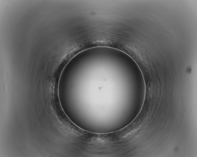X0000094340739200711091428