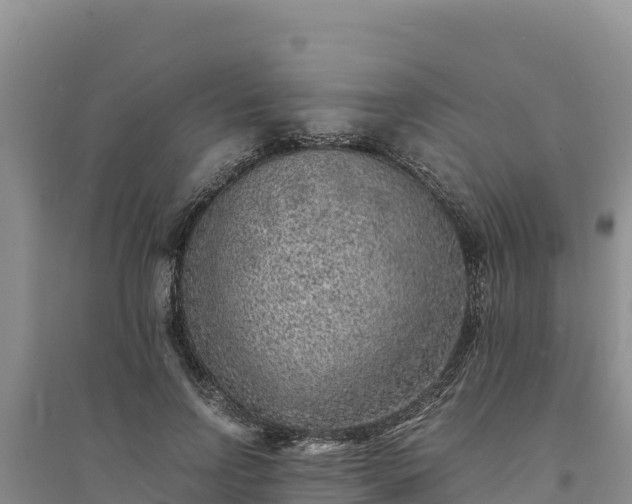 X0000094340742200711091428