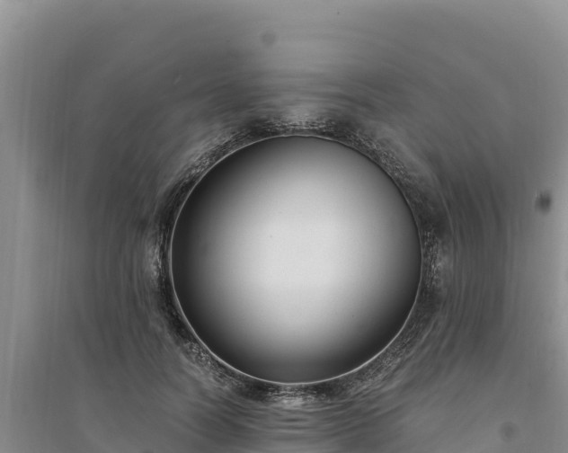 X0000094340746200711091428