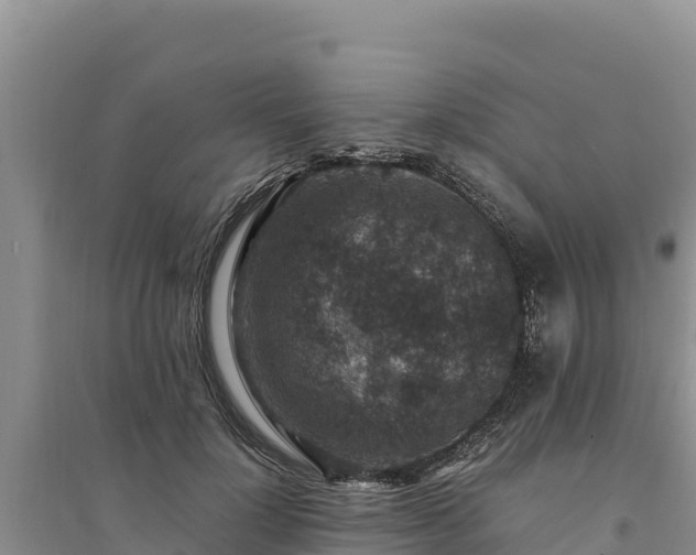 X0000094340748200711091428