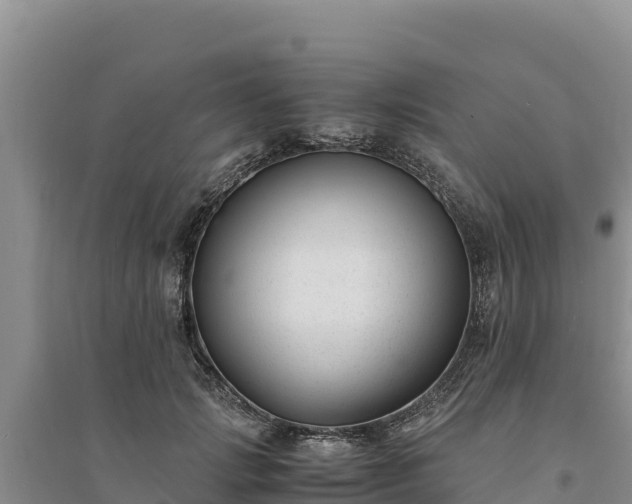 X0000094340749200711091429