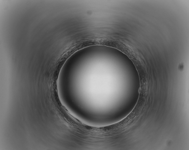 X0000094340750200711091429