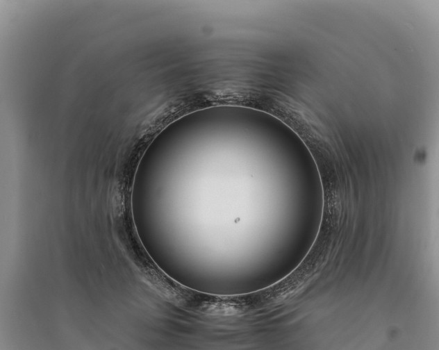 X0000094340751200711091429