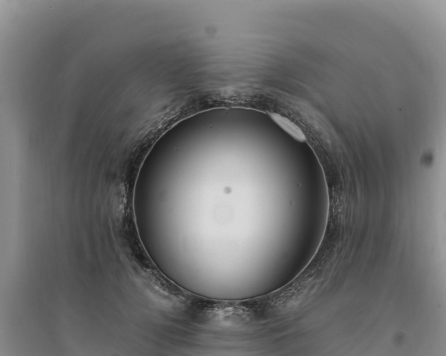X0000094340752200711091429