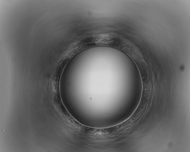 X0000094340755200711091429
