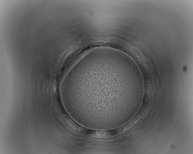 X0000094340758200711091429