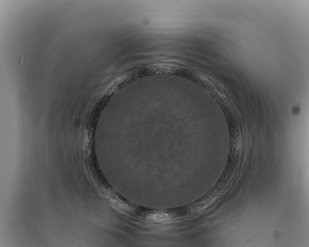 X0000094340759200711091429