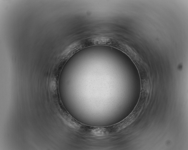 X0000094340761200711091429