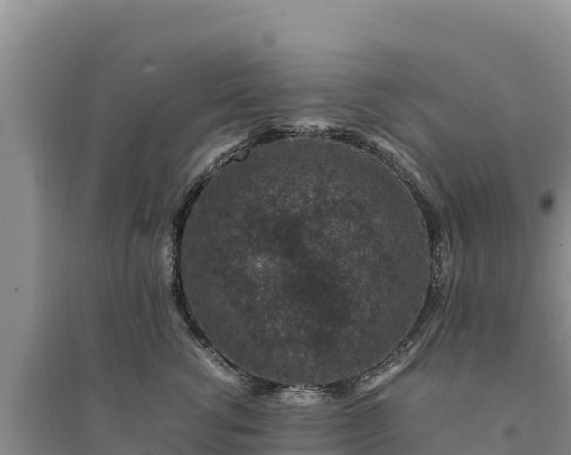 X0000094340762200711091429