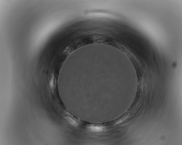 X0000094340763200711091429
