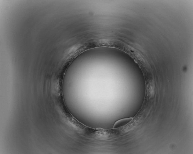 X0000094340764200711091429