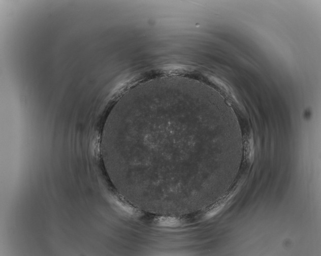 X0000094340766200711091429