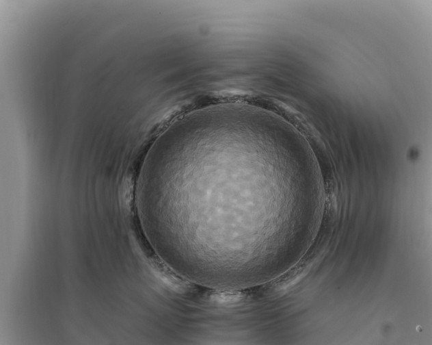 X0000094340767200711091429