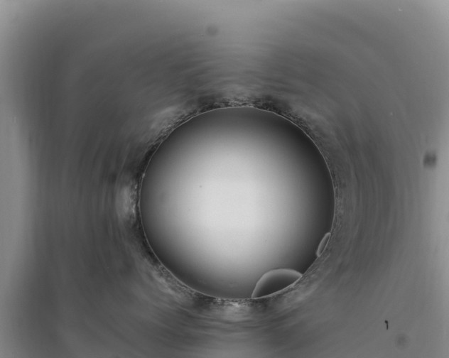 X0000094340768200711091429