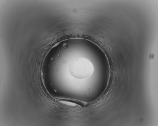 X0000094340769200711091428