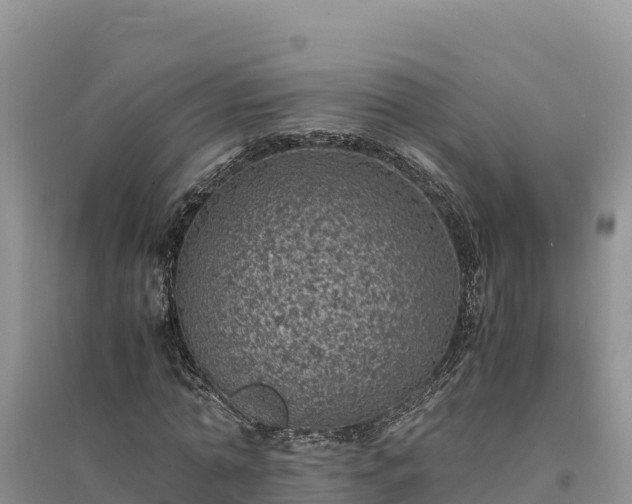 X0000094340774200711091428