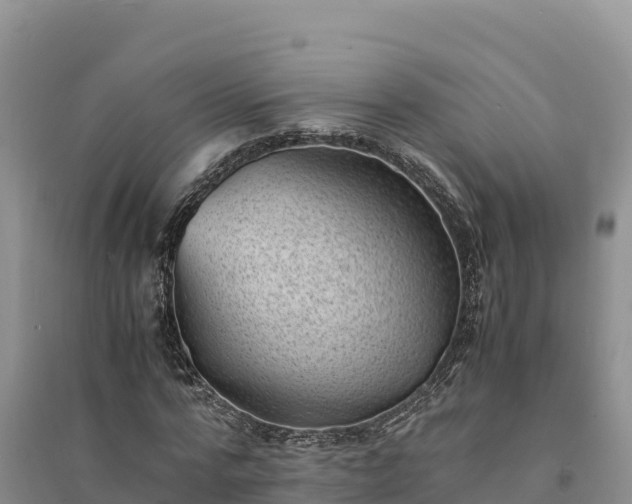 X0000094340776200711091428