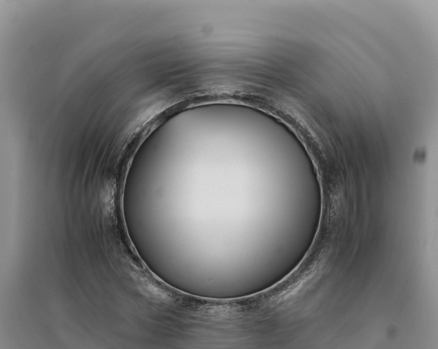 X0000094340778200711091428