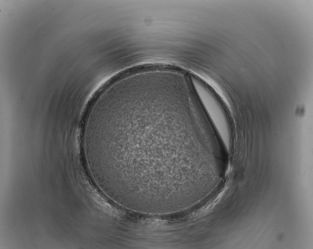 X0000094340783200711091428