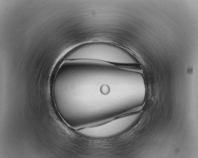 X0000094340784200711091428