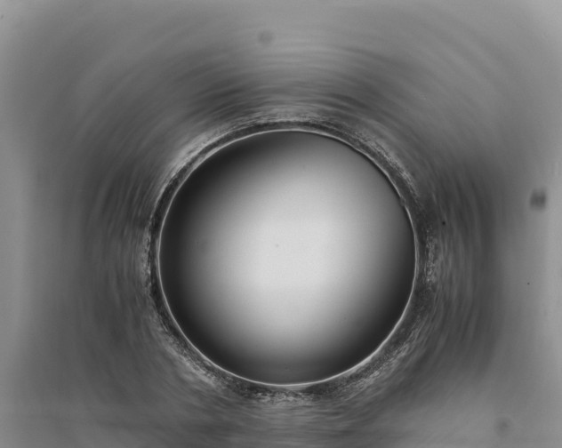 X0000094340786200711091428