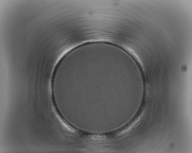 X0000094340789200711091428