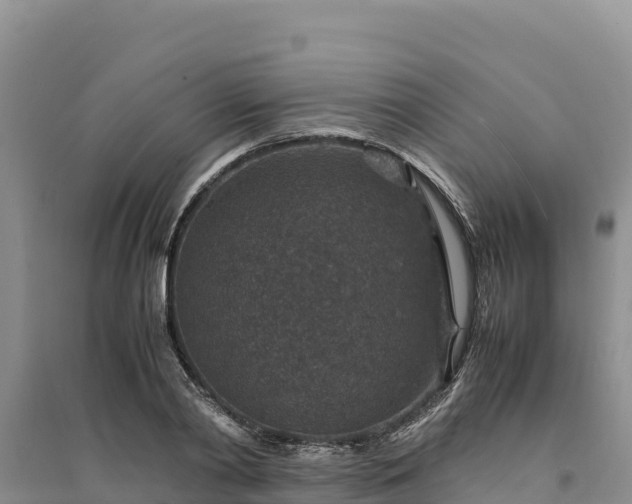 X0000094340790200711091428