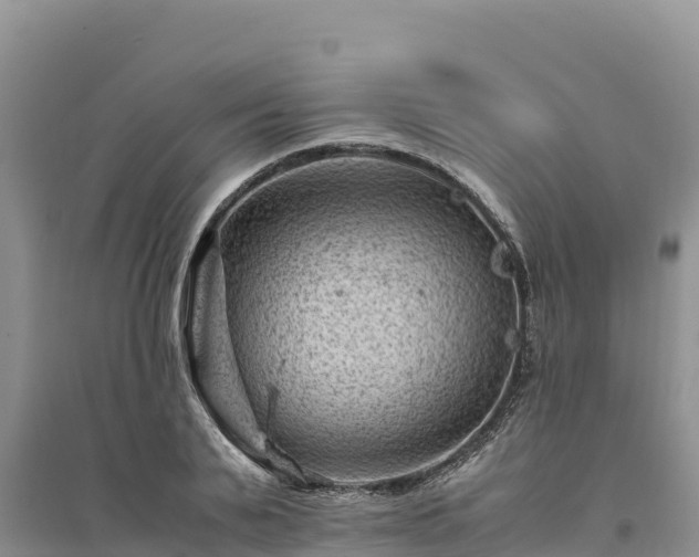 X0000094340791200711091427