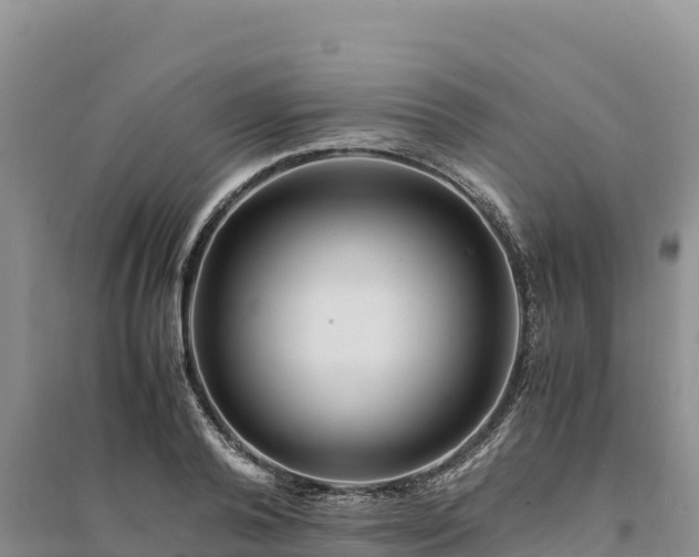 X0000094340792200711091427