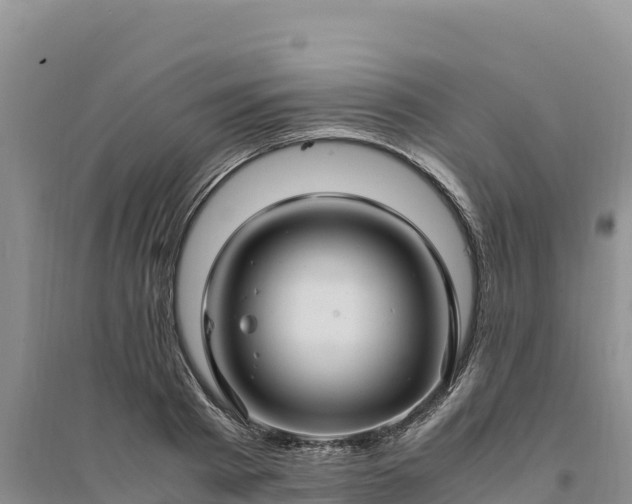 X0000094340793200711091427