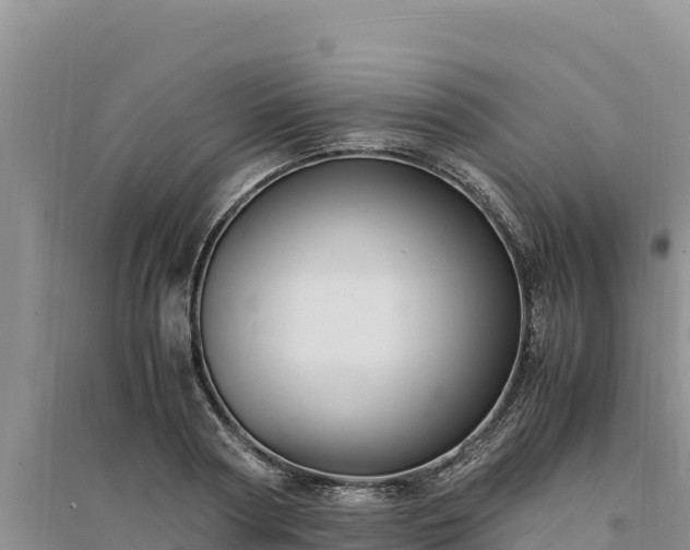 X0000094340794200711091427