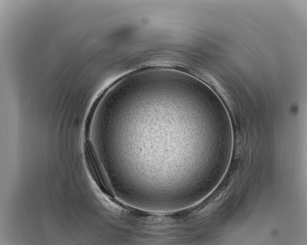 X0000094340795200711091427