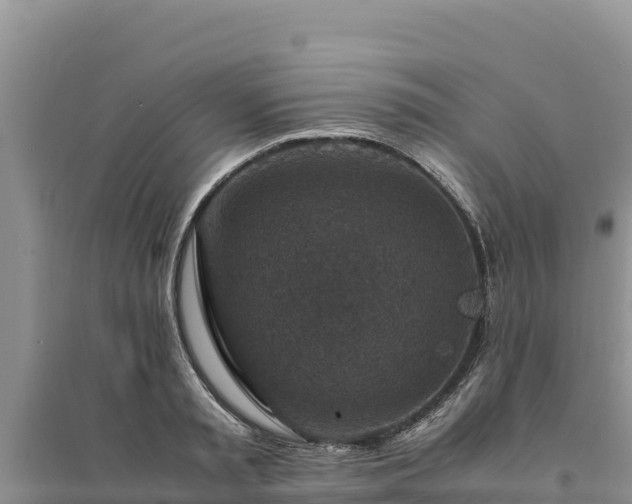 X0000094340797200711091427