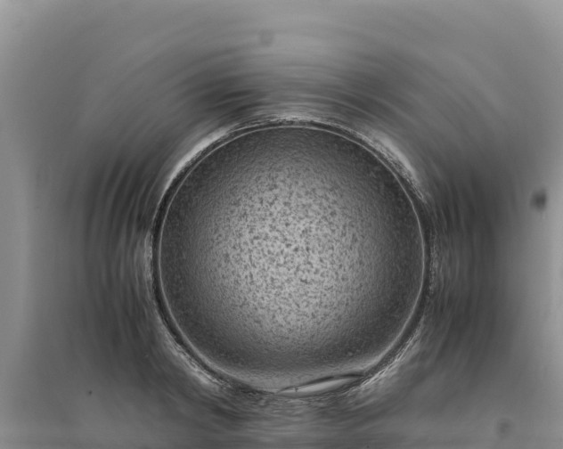 X0000094340798200711091427