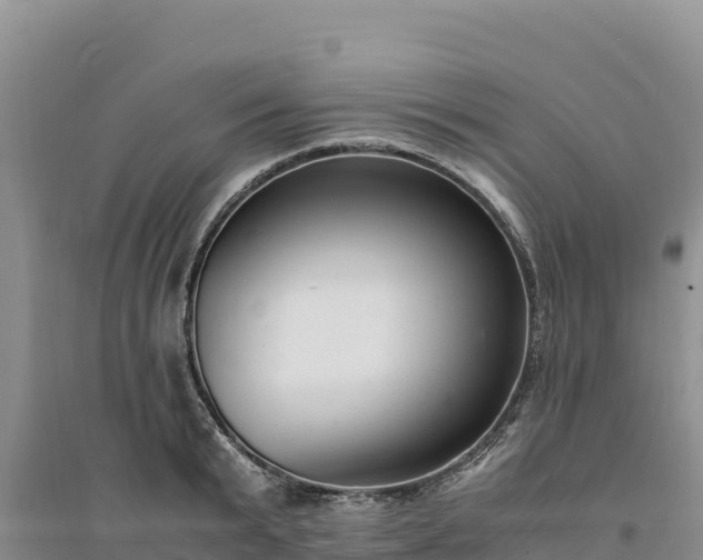 X0000094340799200711091427
