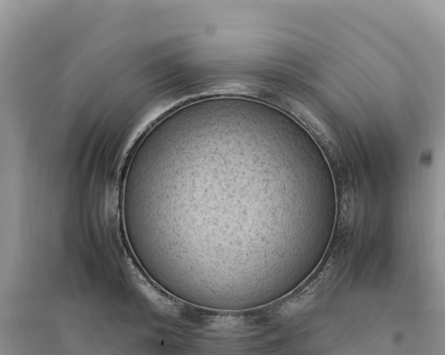 X0000094340800200711091427