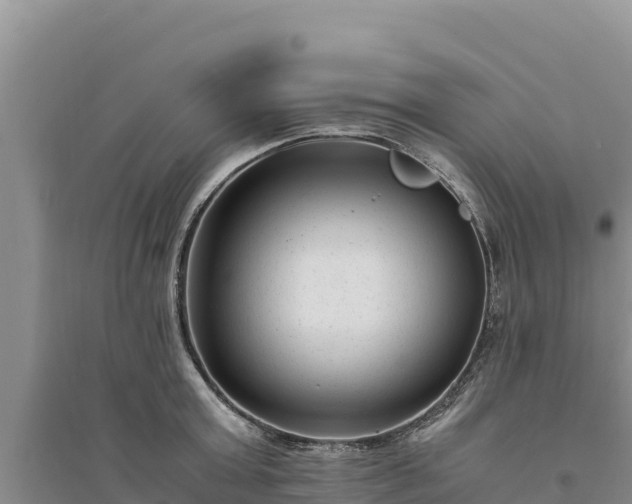 X0000094340803200711091427
