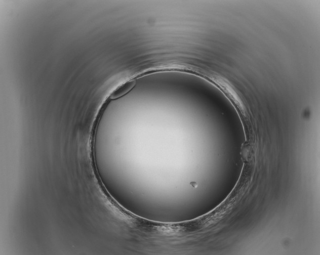 X0000094340805200711091427
