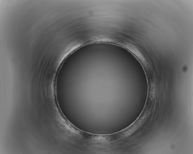 X0000094340806200711091427