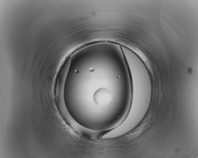 X0000094340807200711091427
