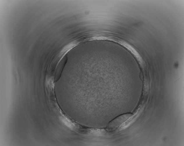 X0000094340809200711091427
