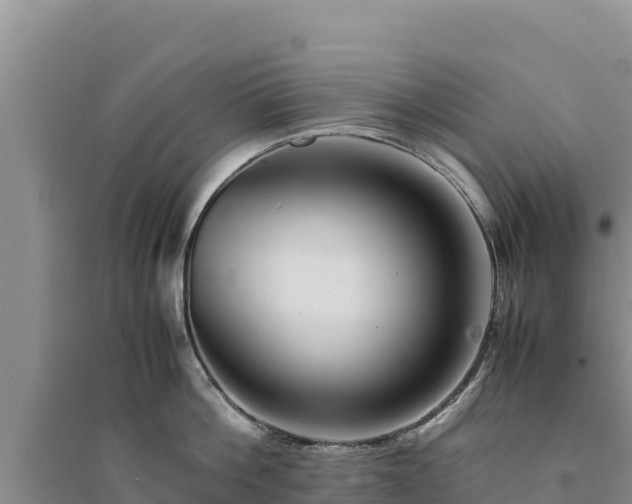 X0000094340812200711091427